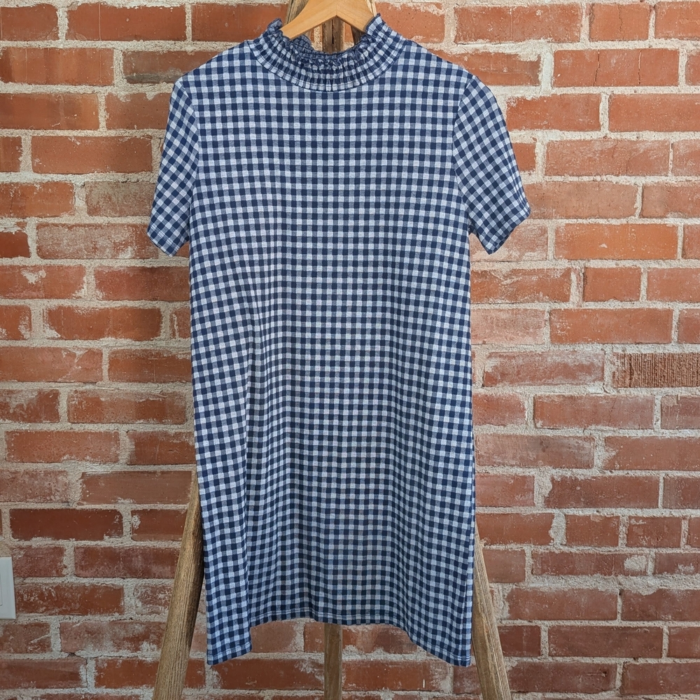 Zara Blue and White Checkered Dress
